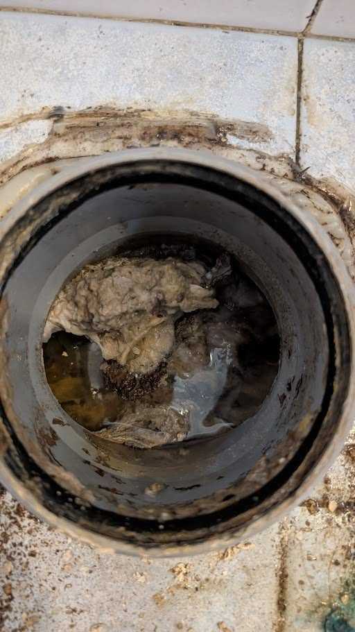 Depositi di calcare rimossi da una tubazione di scarico del bagno a Cecina.