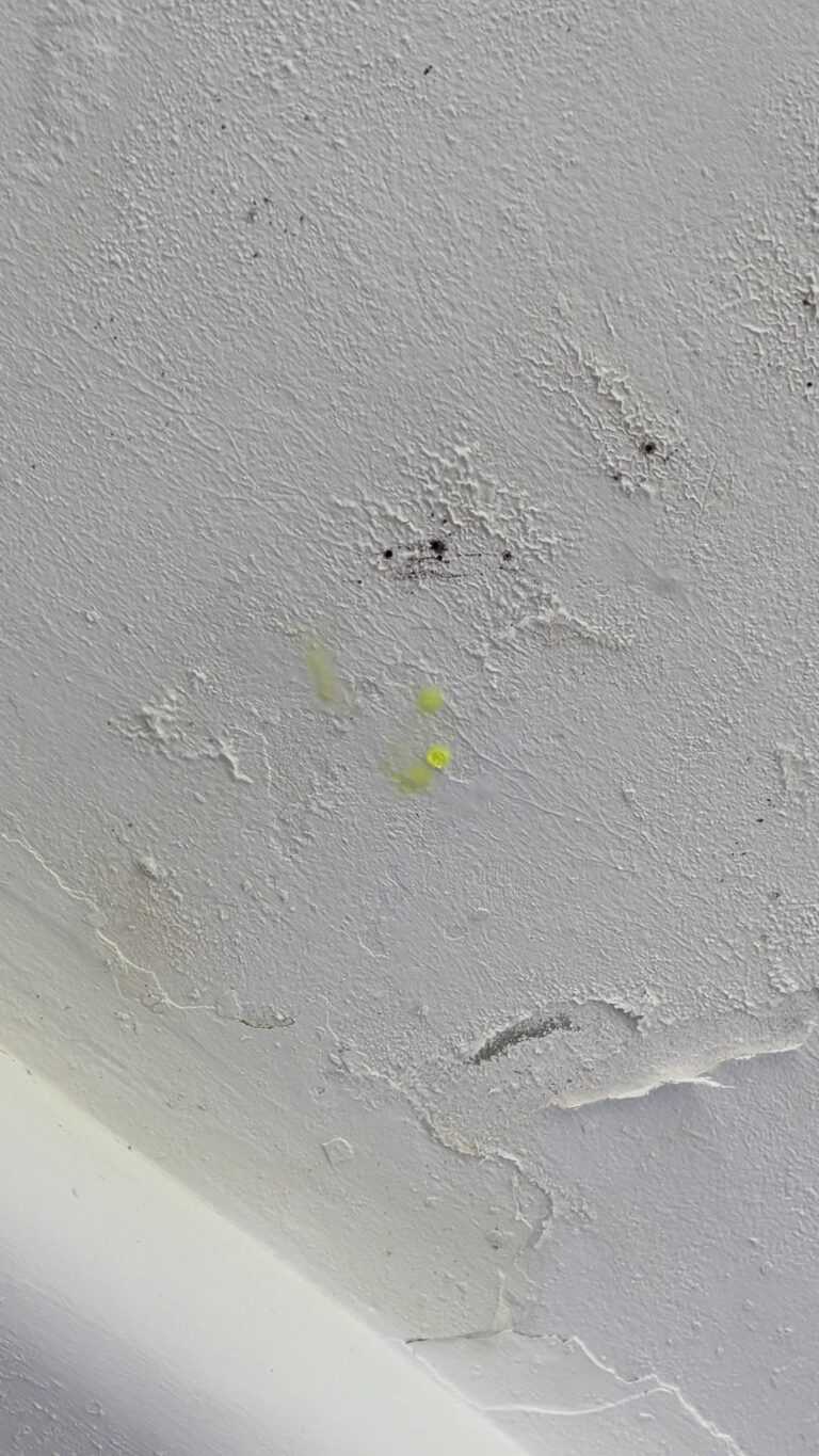 Tracce di infiltrazione sul soffitto di un loggiato condominiale a Rosignano Solvay.