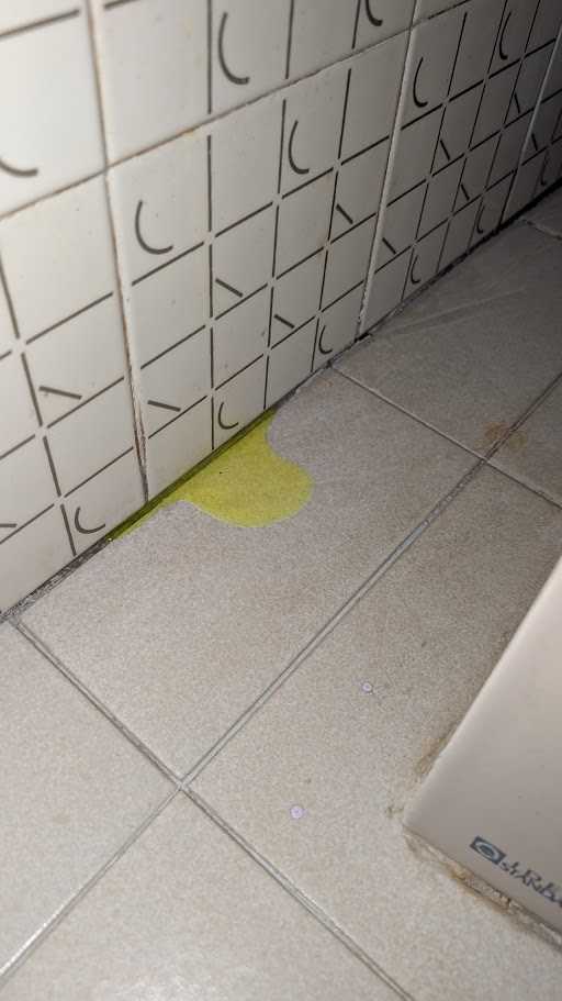 Liquido tracciante visibile alla base della parete durante una ricerca infiltrazione a Rosignano Solvay.