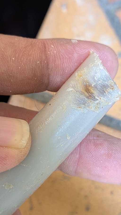 Tubazione idrica danneggiata dai roditori durante una ricerca perdita a Castiglioncello.
