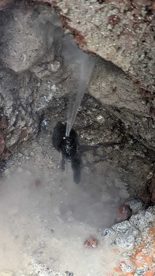 Getto d’acqua visibile dalla tubazione in polietilene all’interno dell’apertura nella muratura